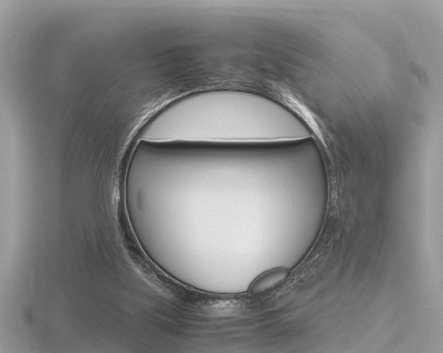 X0000116660059200912141035