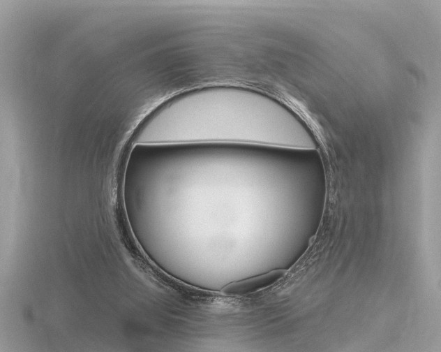 X0000116660060200912141035