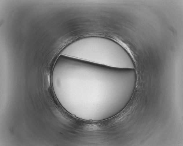 X0000116660061200912141035