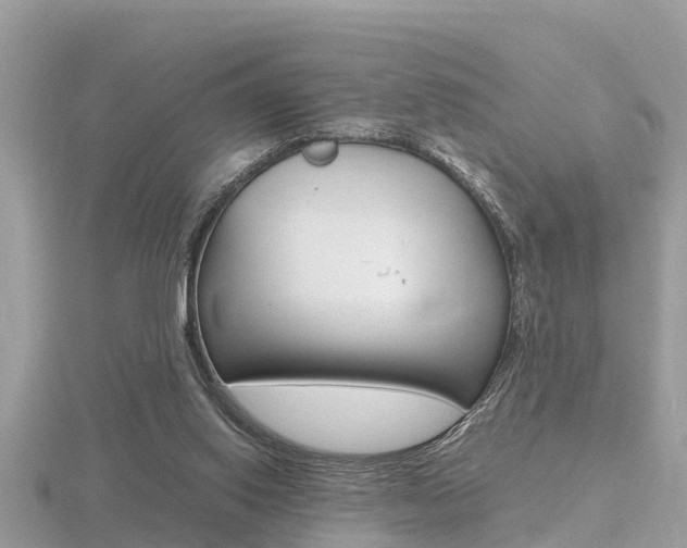 X0000116660062200912141035