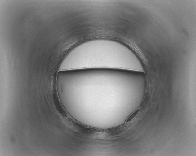 X0000116660066200912141035