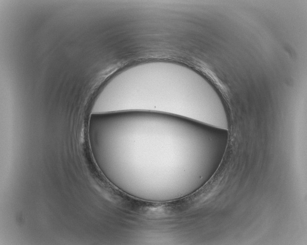 X0000116660068200912141035