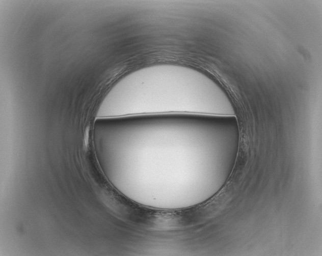 X0000116660070200912141035