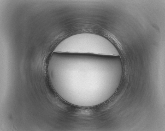 X0000116660073200912141035