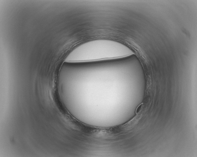 X0000116660074200912141035