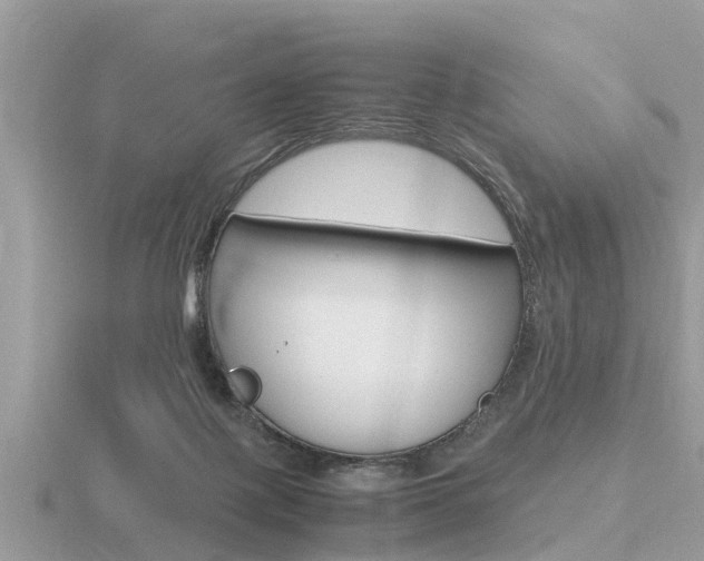 X0000116660075200912141035