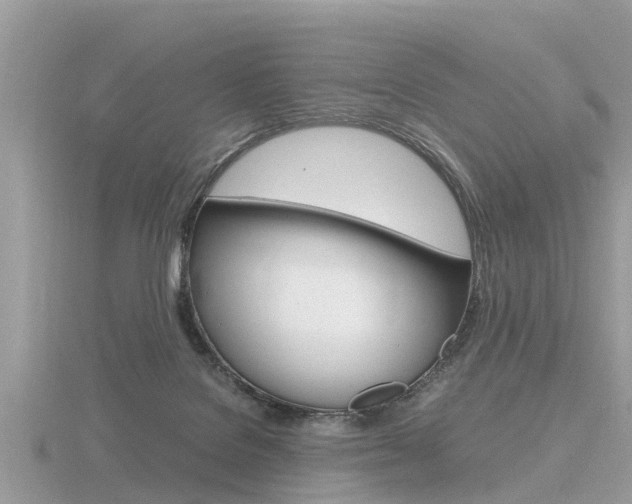 X0000116660076200912141035