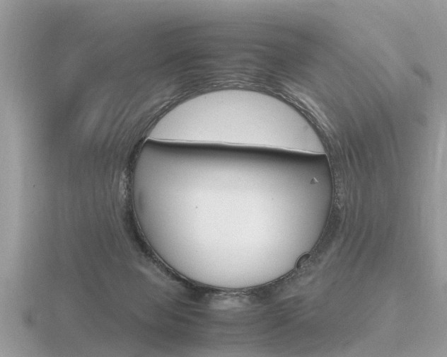 X0000116660077200912141035