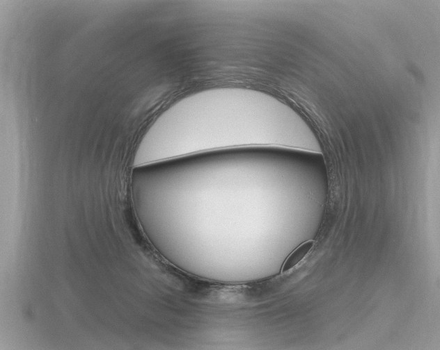 X0000116660078200912141035