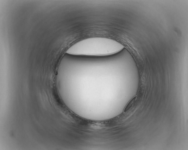 X0000116660079200912141035