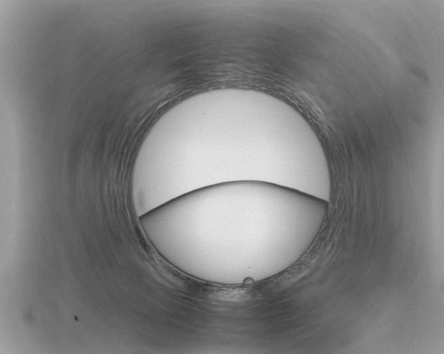 X0000116660081200912141035