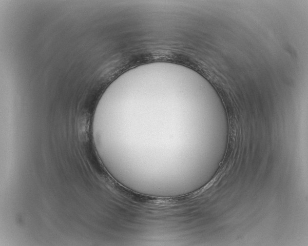 X0000116660082200912141035