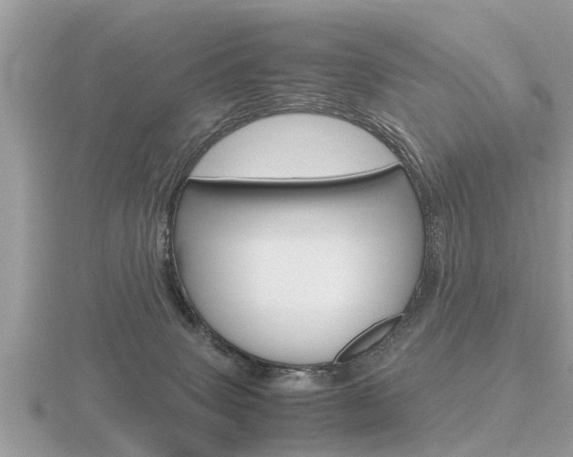 X0000116660083200912141035