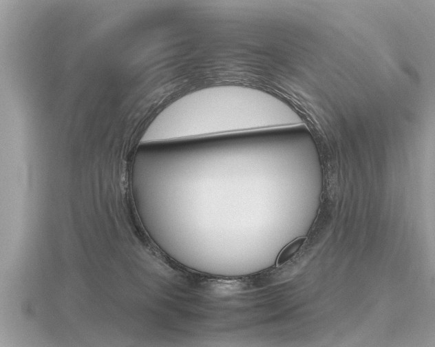 X0000116660085200912141035