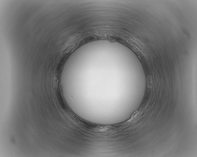 X0000116660086200912141035