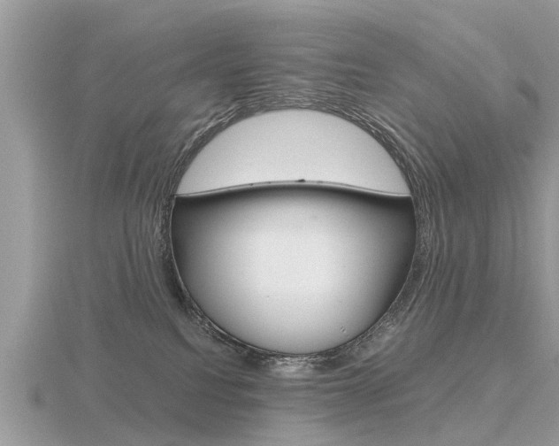 X0000116660088200912141035