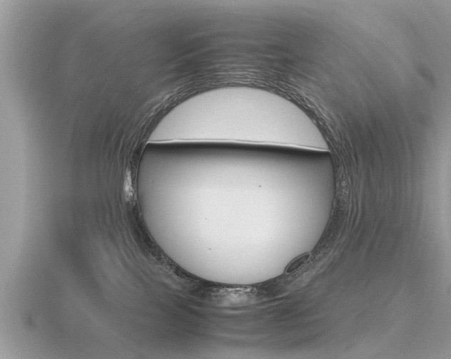 X0000116660089200912141035