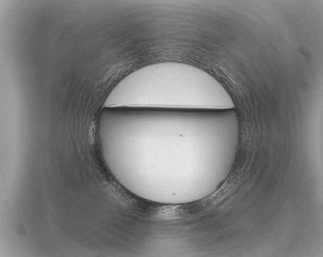 X0000116660090200912141035