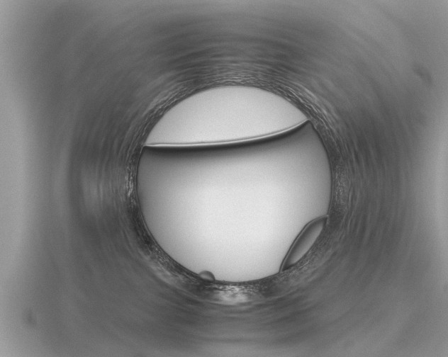 X0000116660091200912141035