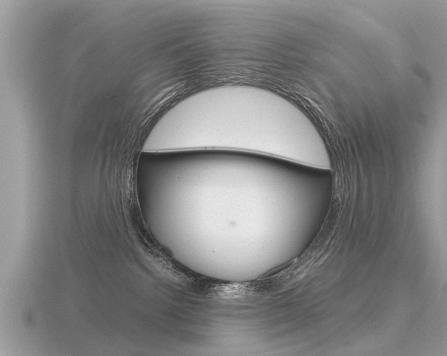 X0000116660092200912141035