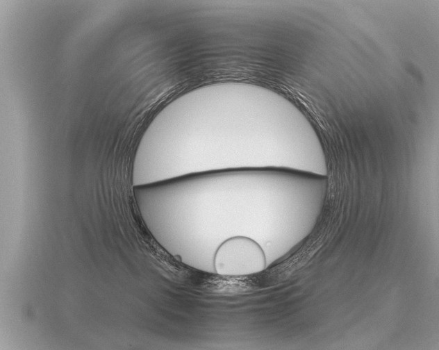 X0000116660093200912141035