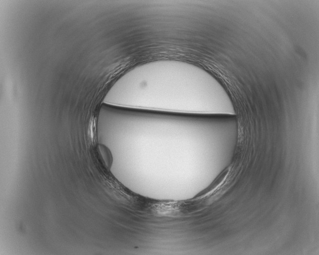 X0000116660094200912141035