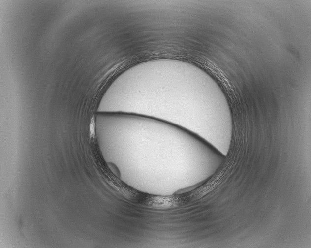 X0000116660095200912141035