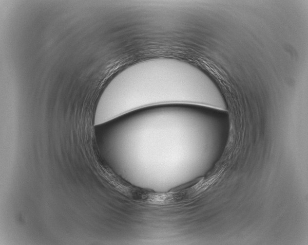 X0000116660096200912141035