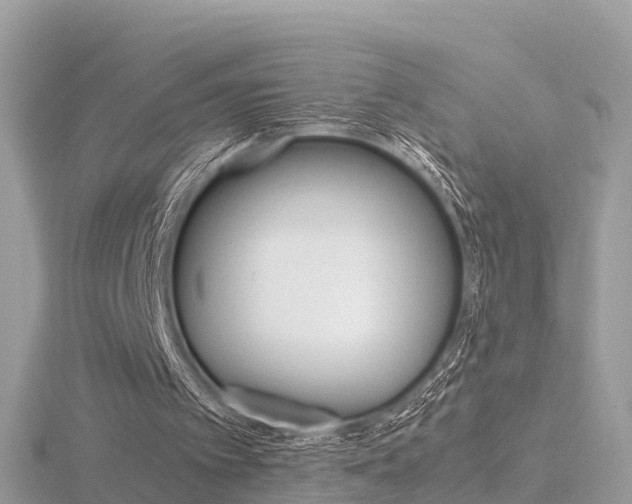 X0000116660097200912141034