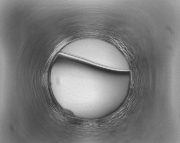 X0000116660099200912141034