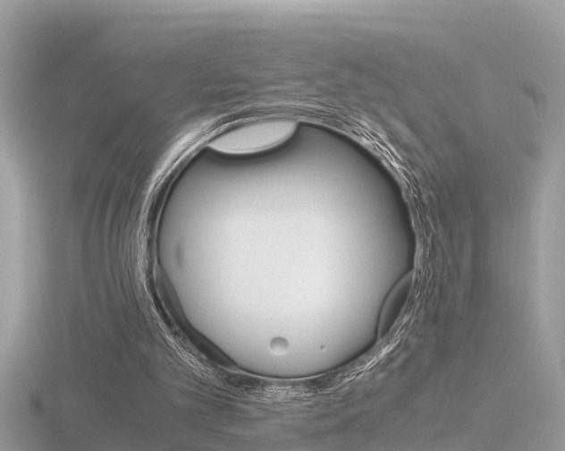 X0000116660101200912141034