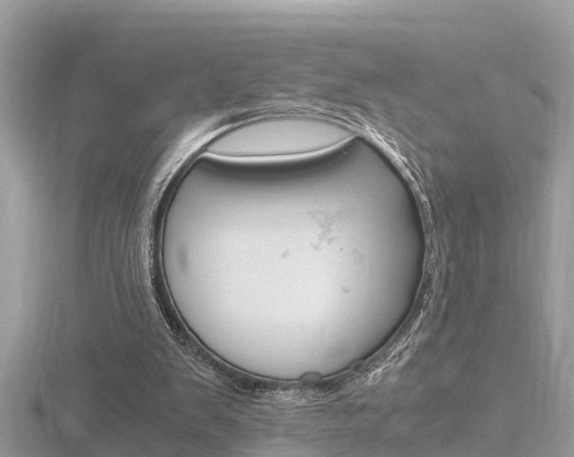 X0000116660103200912141034