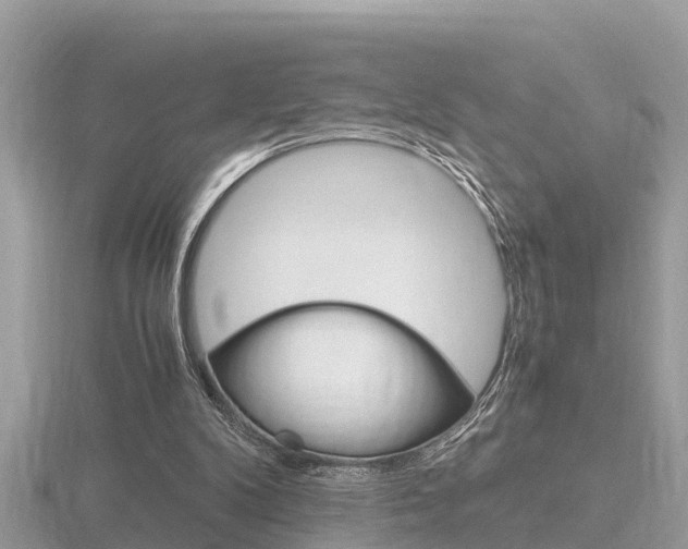 X0000116660104200912141034