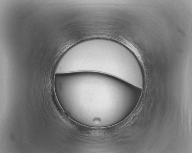 X0000116660105200912141034