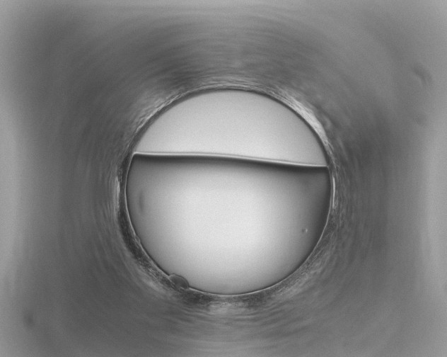 X0000116660109200912141034