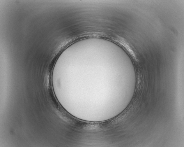 X0000116660110200912141034