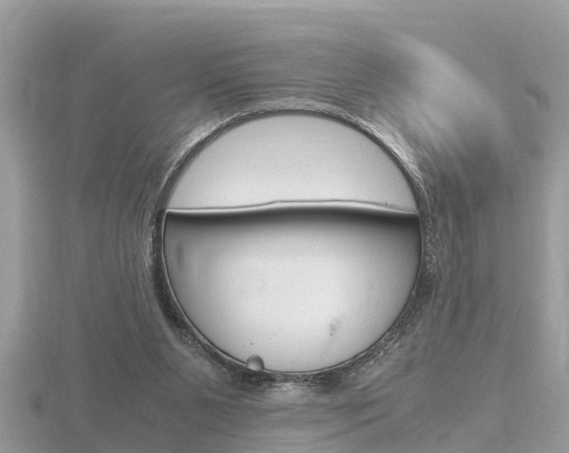 X0000116660111200912141034