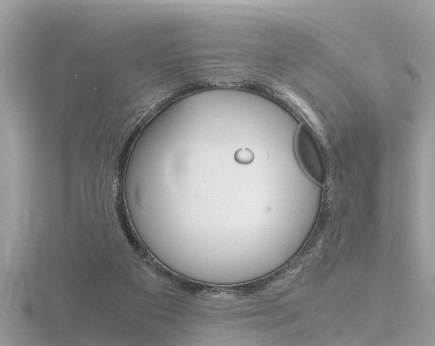 X0000116660113200912141034