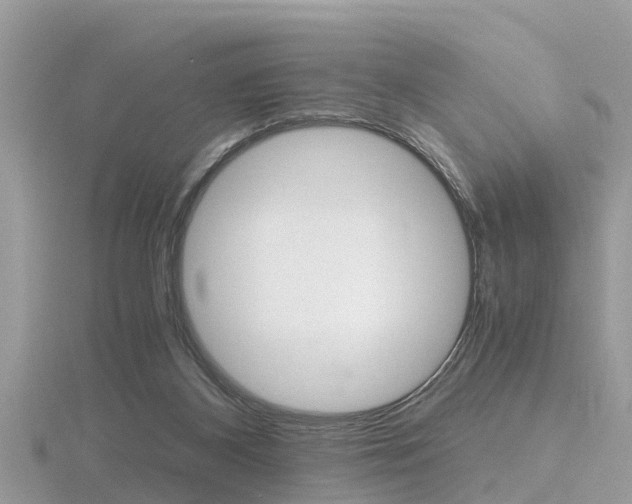 X0000116660116200912141034