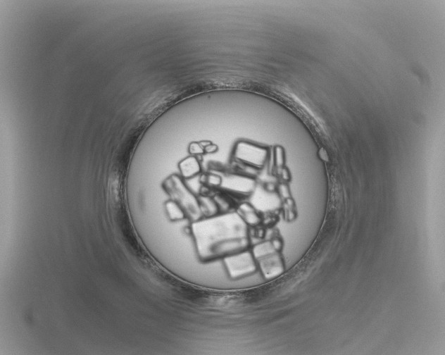 X0000116660117200912141034