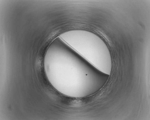 X0000116660119200912141034