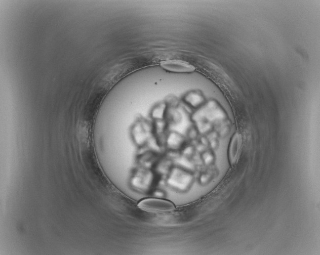 X0000116660121200912141034