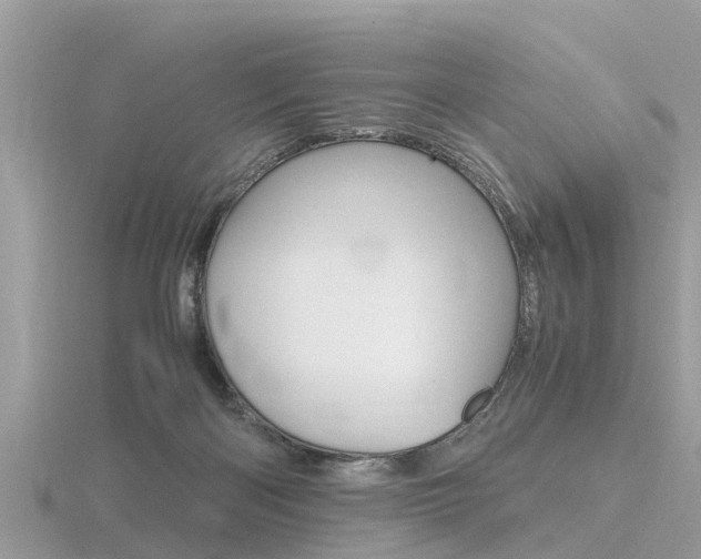 X0000116660122200912141034