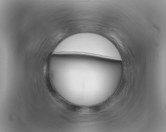 X0000116660123200912141034