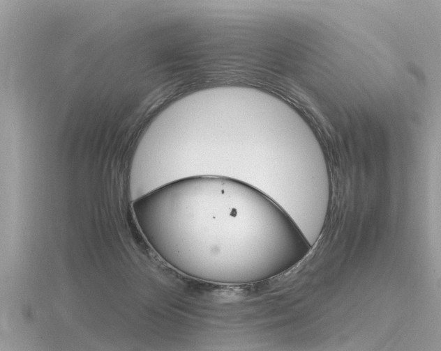 X0000116660124200912141034