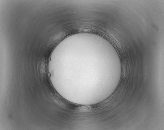 X0000116660126200912141034