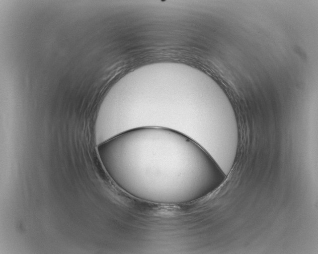 X0000116660128200912141034