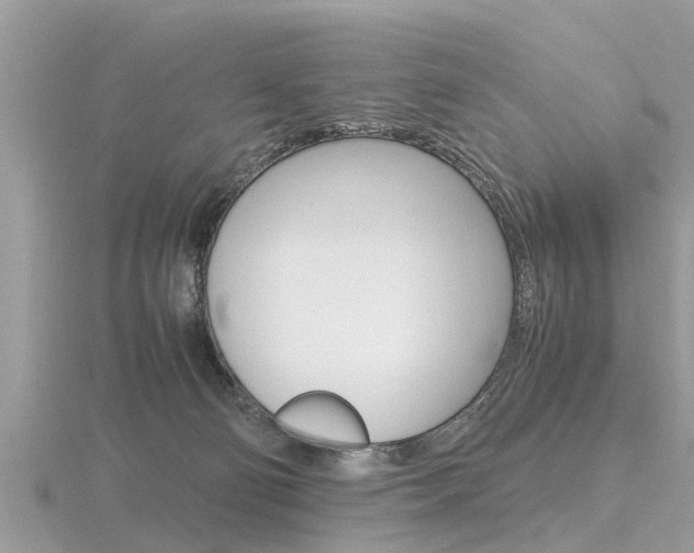 X0000116660130200912141034