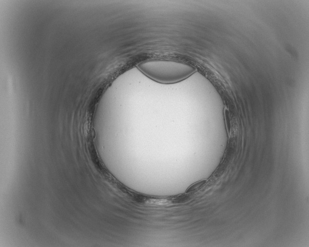 X0000116660133200912141034