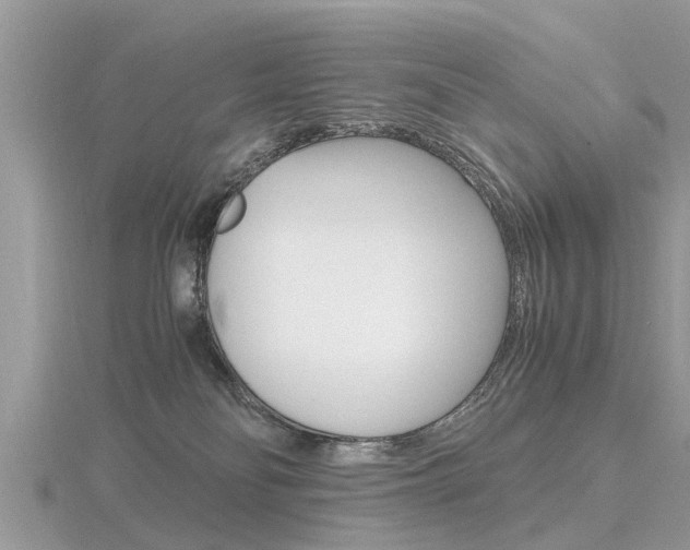 X0000116660134200912141034